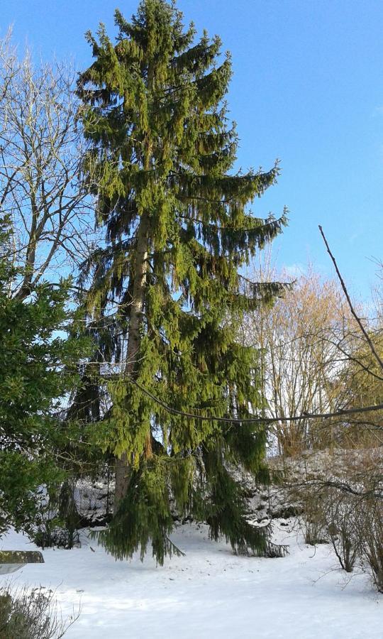 Au Grand Sapin Chambres Chez L'Habitant Henonville Exterior foto